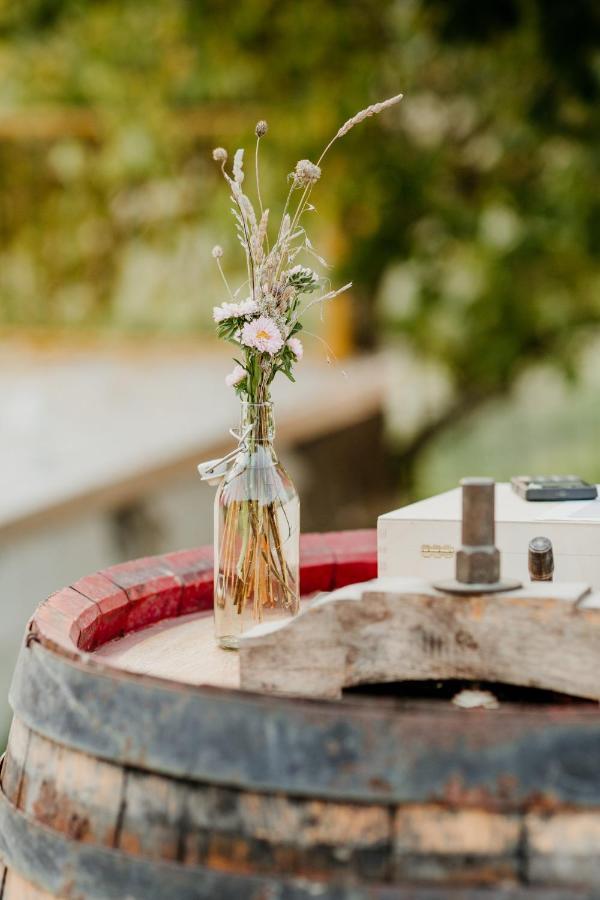 הוילה Bucine Perelli Winery מראה חיצוני תמונה
